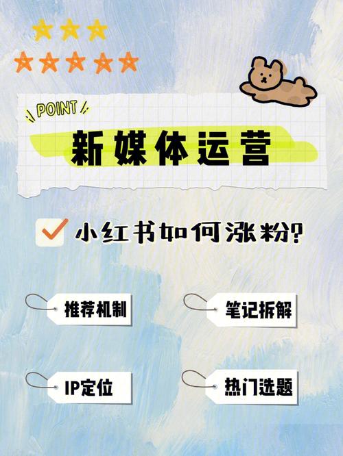 小红书怎么刷粉快呀