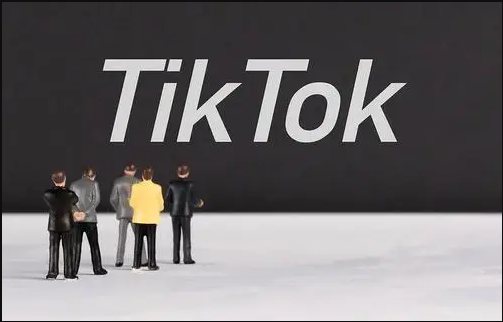 TikTok刷粉TikTok刷粉gwanpk,TikTok刷粉：揭秘背后的真相与风险!