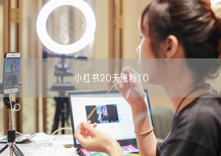 小红书20天涨粉10
