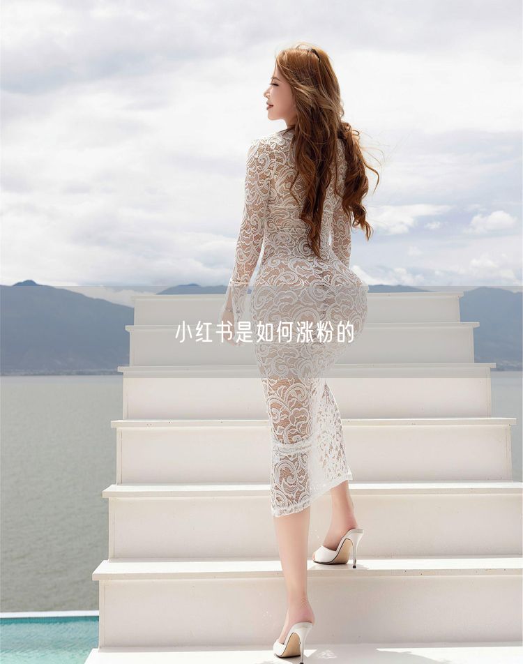 小红书是如何涨粉的