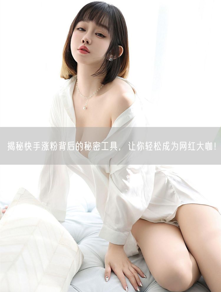 揭秘快手涨粉背后的秘密工具,让你轻松成为网红大咖!